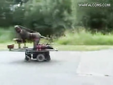 Dildo cart ride