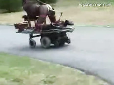 Dildo cart ride