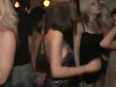 Club sluts