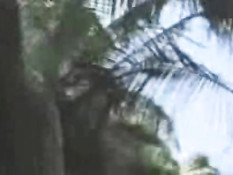 Tropical sex scene