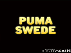 Puma Swede showing