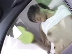 Japanese car wash