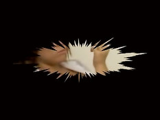 Chubby teen fucked in closeup
