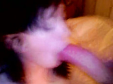 Blowjob from my girl