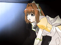 Hentai fuckers
