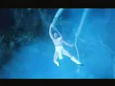 Kung Fu porn