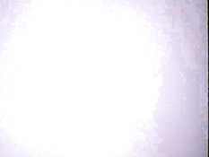 My Wife's First Video