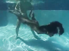 Sexy Mermaids