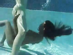 Sexy Mermaids