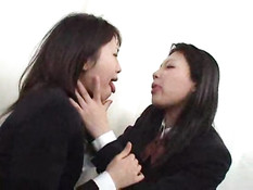 Japanese Spit Swappers