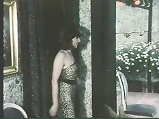 Vintage Sex Orgy 