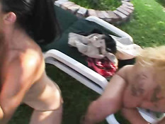 Sluts Begging For Facials