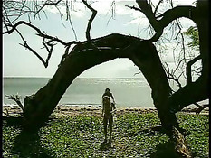 Anal On The Beach