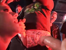 Hot groupie sucking dick
