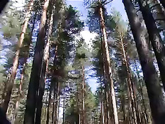 Секс, любовь и чёрная магия