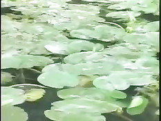 Море наслаждений
