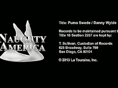 Парень трахает похотливую дамочку Puma Swede и кончает на лицо