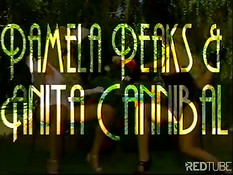 Лесбиянки Pamela Peaks и Anita Cannibal трахаются в нижнем белье