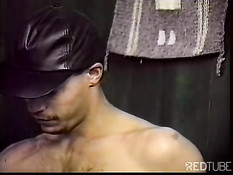 In the sex barn