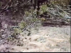 Horny gay cowboy in free nature
