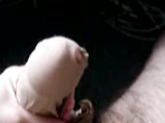 Cock in pantyhose