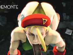 Сборник порно роликов по мотивам популярной игры Street Fighter