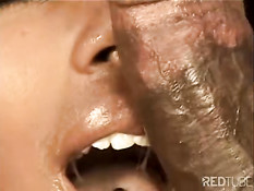Sweet babes blowing for cum