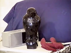 Ebony slut titfucked