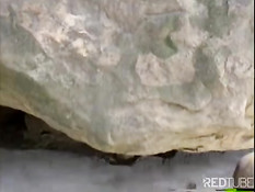 Black sucking and fucking