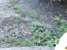 Парнишка привёл в дом юную русскую незнакомку и занялся с ней сексом