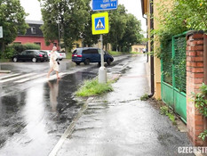 Лысая девица с тату и пирсингом за деньги ебётся с пикапером в лесу